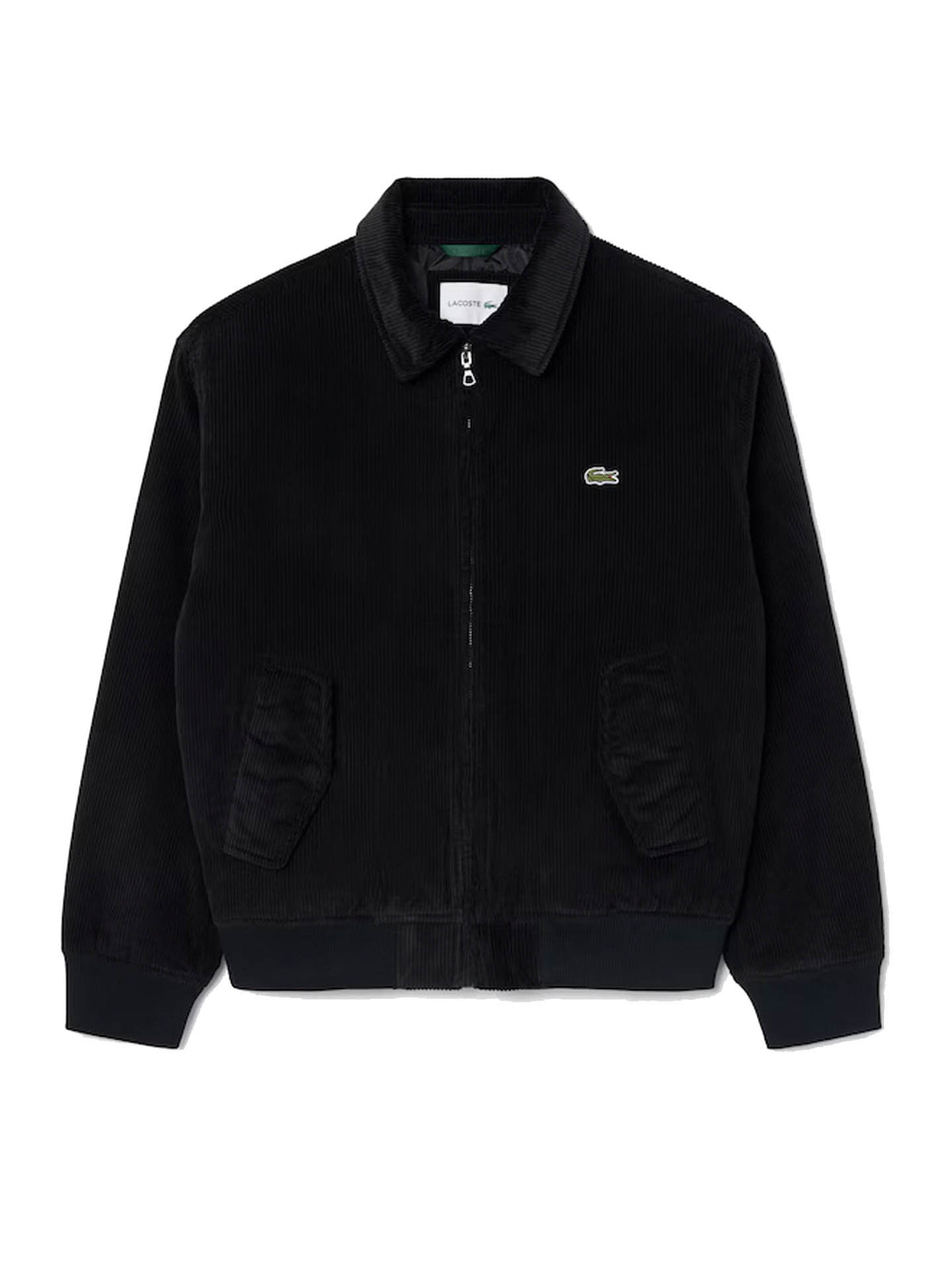 BOMBER PADDED CORDUROY AVIATOR JACKET